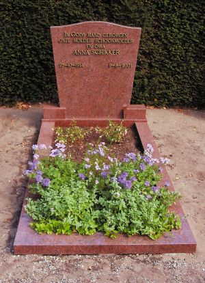 Enkel monument Ruby Red graniet (EM006)