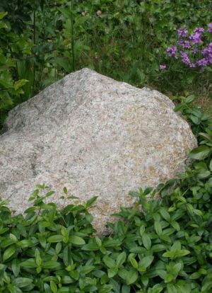 Ruwe steen zwerfkei Deens graniet