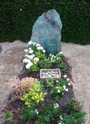 Glasplaat voor ruwe steen Glasplaat voor ruwe steen