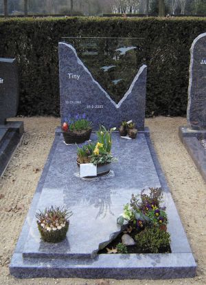 Glasmonument met granieten rand